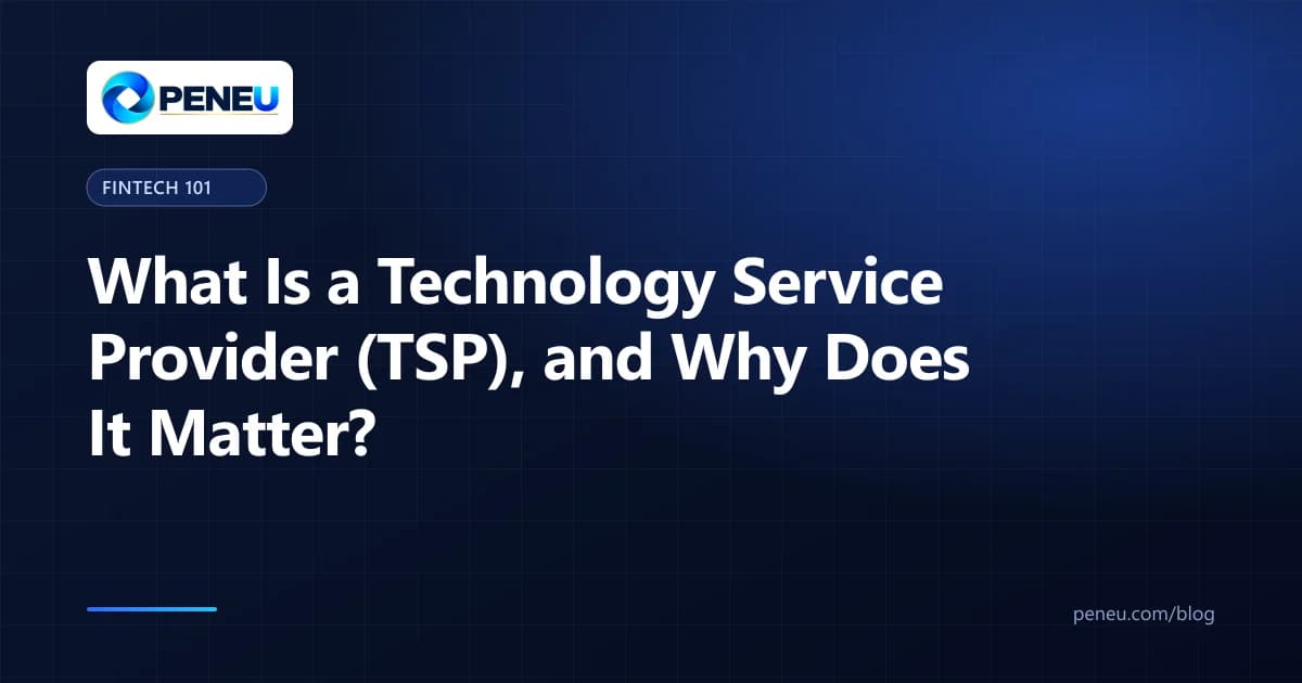 Cover illustration explaining technology service providers in payments